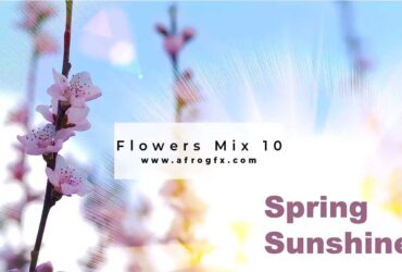 Flowers Mix 10 - Stock Photo