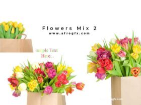 Flowers Mix 2 - Stock Photo