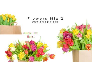 Flowers Mix 2 - Stock Photo