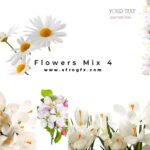 Flowers Mix 4 - Stock Photo