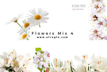 Flowers Mix 4 - Stock Photo
