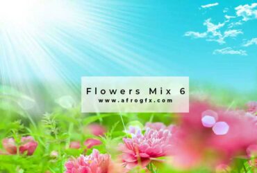 Flowers Mix 6 - Stock Photo