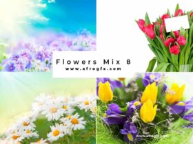 Flowers Mix 8 - Stock Photo