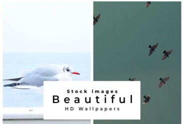 2 Beautiful HD Wallpapers Stock Photo