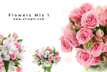 Flowers Mix 1 - Stock Photo