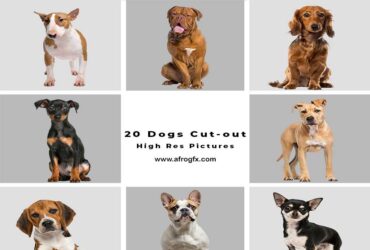 20 Dogs Cut-out High Res Pictures