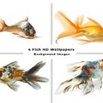 4 Fish HD Wallpapers and Background Images Stock Photo