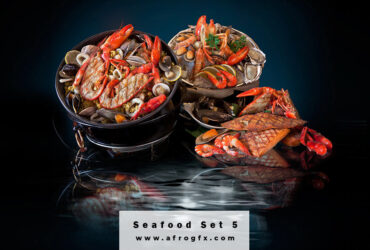 Delicious Seafood Set 5