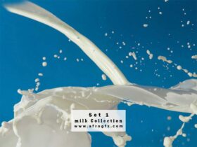 Milk Collection Set 1 Stock Photo