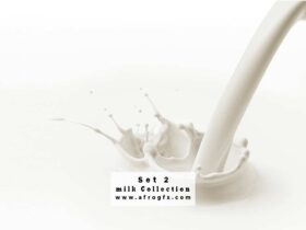 Milk Collection Set 2 Stock Photo