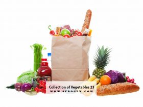 Collection of Vegetables 23