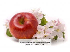 Fruits on White Background 1 #Apple