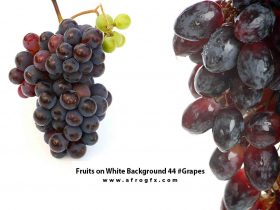 Fruits on White Background 44 #Grapes
