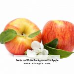 Fruits on White Background 5 #Apple