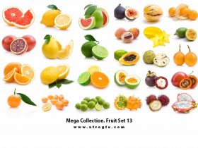 Mega Collection. Fruit #13