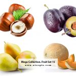 Mega Collection. Fruit 15