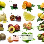 Mega Collection. Fruit #6