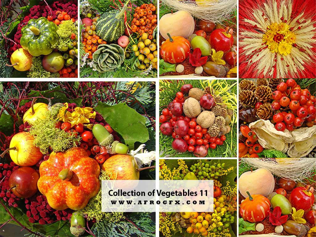 Collection of Vegetables 11