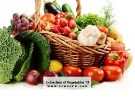 Collection of Vegetables 13