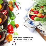 Collection of Vegetables 14
