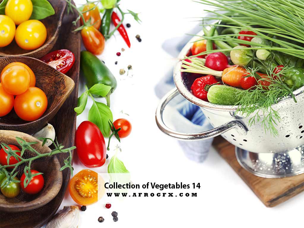 Collection of Vegetables 14