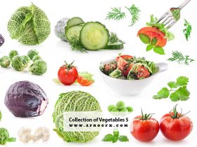 Collection of Vegetables 5