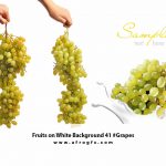 Fruits on White Background 41 #Grapes
