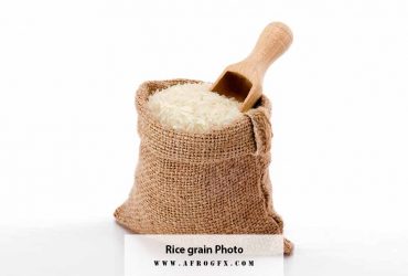Rice grain Photo Stocks Set 1