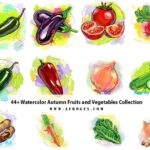 44+ Watercolor Autumn Fruits and Vegetables Collection