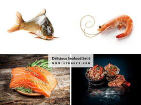 Delicious Seafood Set 6