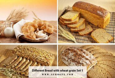 Different Bread with wheat grain Set 1