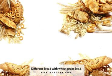Different Bread with wheat grain Set 2