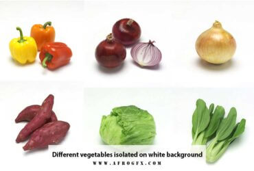 Different vegetables isolated on white background
