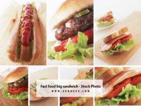 Fast food big sandwich - Stock Photo