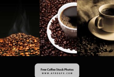 Free Coffee Stock Photos