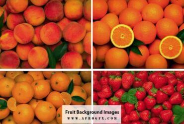 Fruit Background Images, Stock Photos