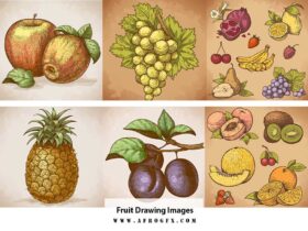 Fruit Drawing Images, Stock Photos