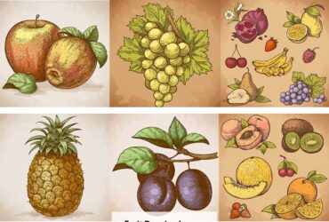 Fruit Drawing Images, Stock Photos