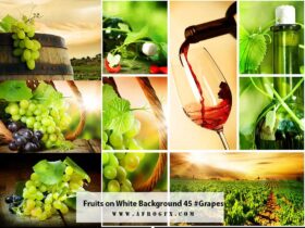 Fruits on White Background 45 #Grapes
