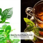Green Tea Stock Photos, Pictures & Royalty-Free Images
