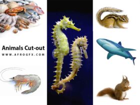 Animals Cut-out High Res Pictures collection 1
