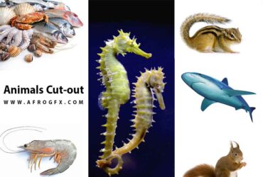 Animals Cut-out High Res Pictures collection 1