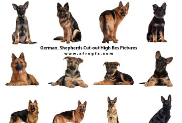 20 German Shepherds Cut-out High Res Pictures