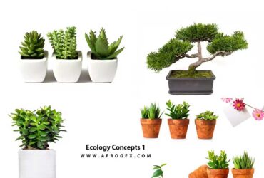 Ecology Concepts 1