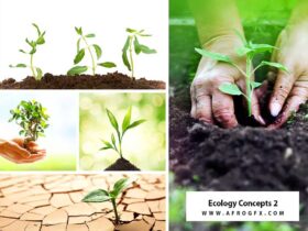 Ecology Concepts 2