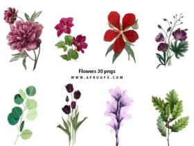 Flowers 30 pngs