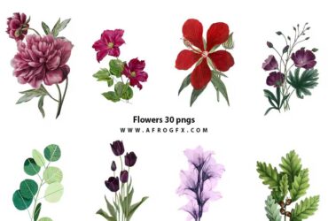 Flowers 30 pngs
