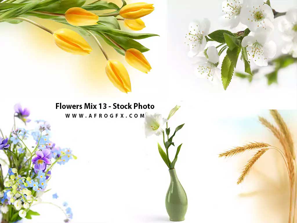 Flowers Mix 13 - Stock Photo