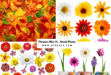 Flowers Mix 15 - Stock Photo