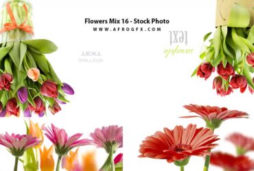 Flowers Mix 16 - Stock Photo